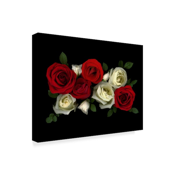 Susan S. Barmon 'Red And White Roses' Canvas Art,18x24